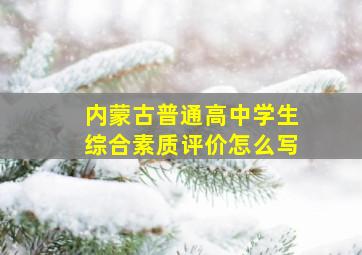 内蒙古普通高中学生综合素质评价怎么写