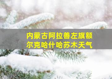 内蒙古阿拉善左旗额尔克哈什哈苏木天气