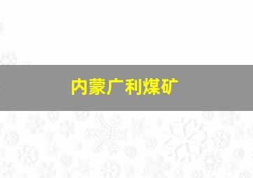 内蒙广利煤矿