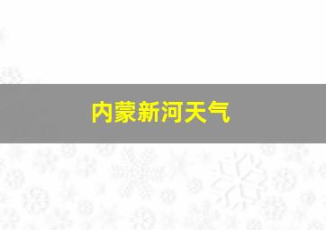 内蒙新河天气