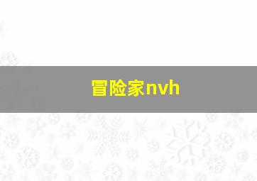 冒险家nvh