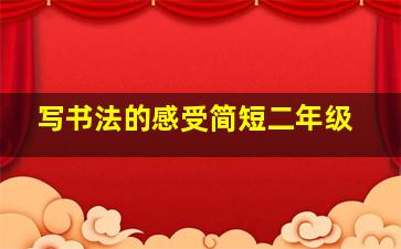 写书法的感受简短二年级