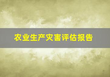 农业生产灾害评估报告