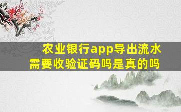 农业银行app导出流水需要收验证码吗是真的吗