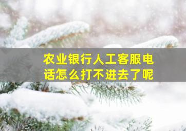 农业银行人工客服电话怎么打不进去了呢