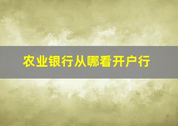 农业银行从哪看开户行