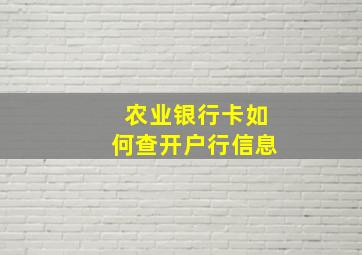 农业银行卡如何查开户行信息