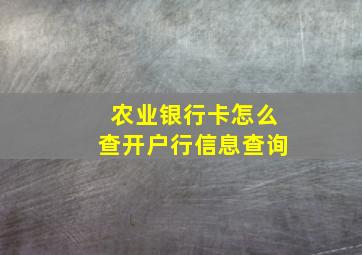 农业银行卡怎么查开户行信息查询