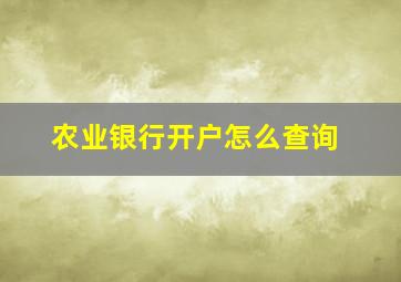 农业银行开户怎么查询