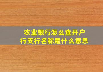 农业银行怎么查开户行支行名称是什么意思