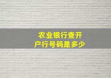 农业银行查开户行号码是多少