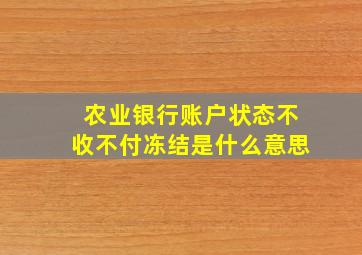 农业银行账户状态不收不付冻结是什么意思