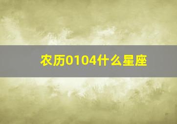 农历0104什么星座