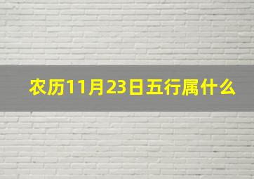 农历11月23日五行属什么