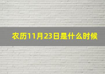 农历11月23日是什么时候