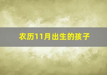 农历11月出生的孩子