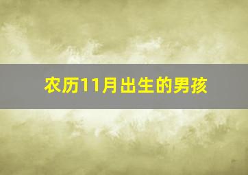 农历11月出生的男孩