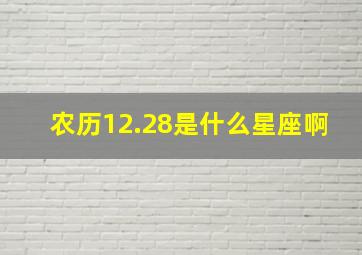 农历12.28是什么星座啊