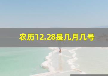 农历12.28是几月几号