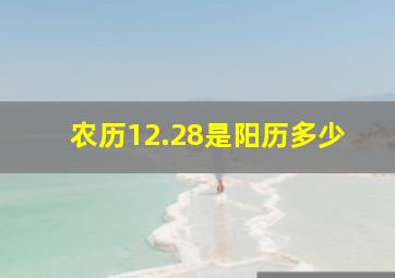 农历12.28是阳历多少