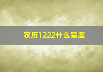 农历1222什么星座