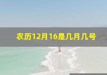 农历12月16是几月几号