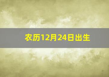 农历12月24日出生