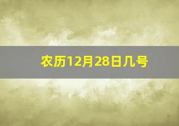 农历12月28日几号