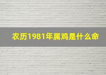 农历1981年属鸡是什么命