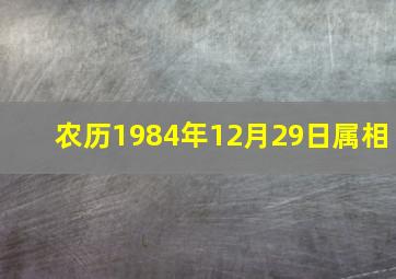 农历1984年12月29日属相