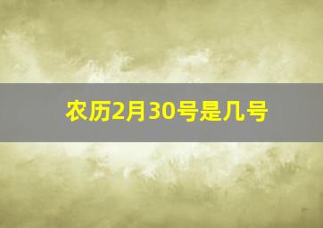 农历2月30号是几号