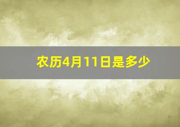 农历4月11日是多少