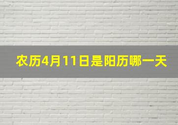 农历4月11日是阳历哪一天