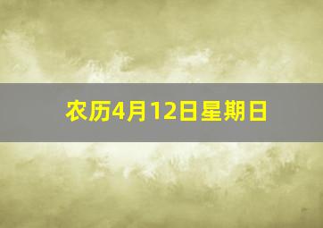 农历4月12日星期日