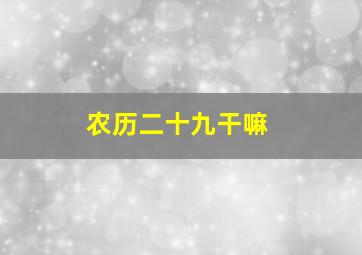 农历二十九干嘛