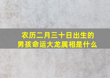 农历二月三十日出生的男孩命运大龙属相是什么