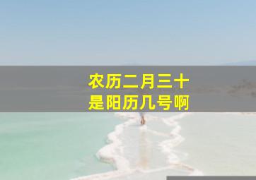 农历二月三十是阳历几号啊