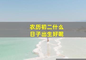 农历初二什么日子出生好呢