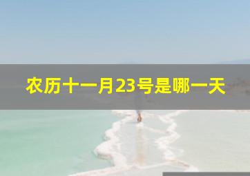 农历十一月23号是哪一天