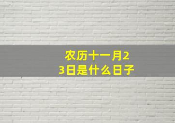 农历十一月23日是什么日子