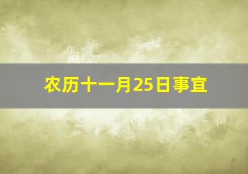 农历十一月25日事宜