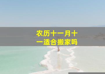 农历十一月十一适合搬家吗