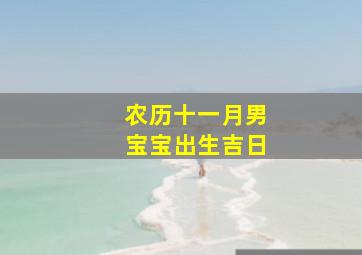 农历十一月男宝宝出生吉日