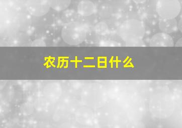 农历十二日什么