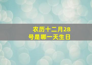 农历十二月28号是哪一天生日