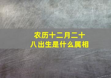 农历十二月二十八出生是什么属相