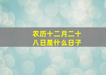 农历十二月二十八日是什么日子