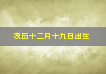 农历十二月十九日出生