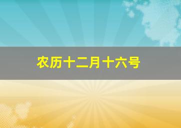 农历十二月十六号