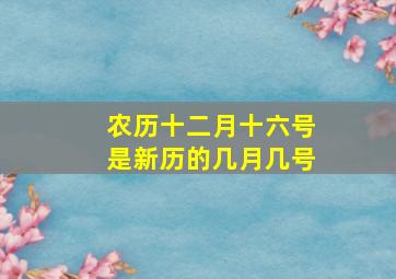 农历十二月十六号是新历的几月几号